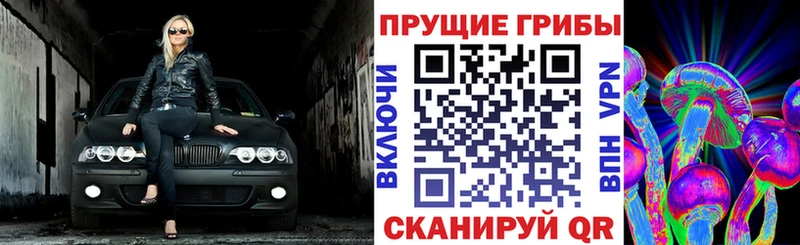 Купить  Лихославль  Псилоцибиновые грибы прущие грибы 